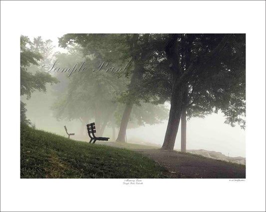 MEMORY LANE - Dingle Park, Oakville