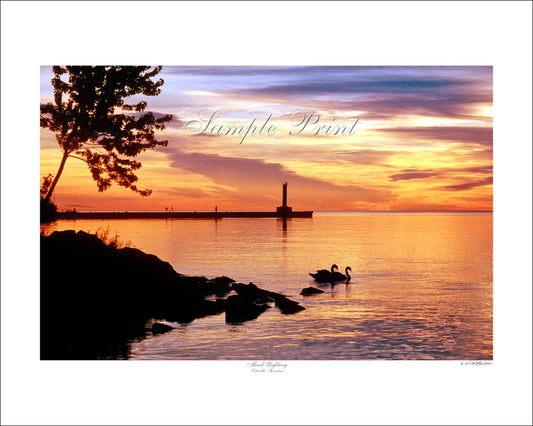 MOOD LIGHTING - Oakville Shoreline