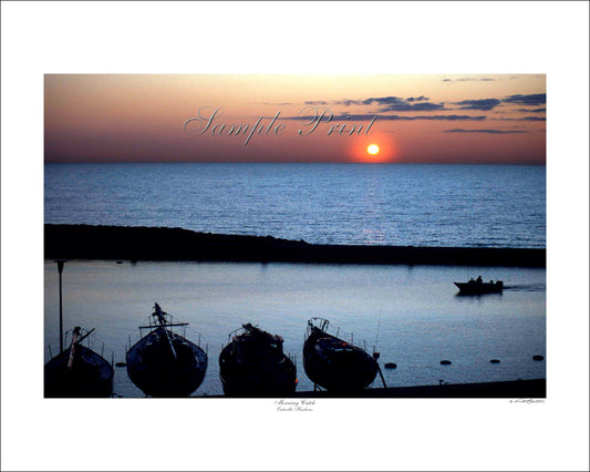 MORNING CATCH - Oakville Harbour