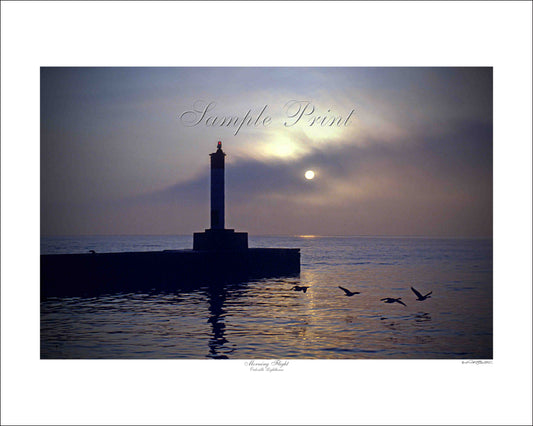 MORNING FLIGHT - Oakville Lighthouse