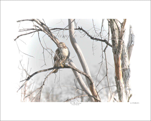ON THE LOOKOUT - North Oakville