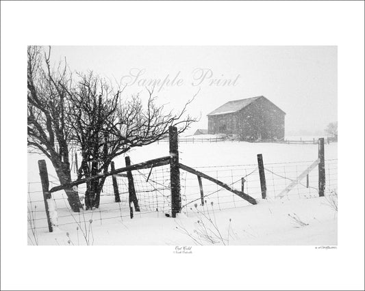 OUT COLD - North Oakville