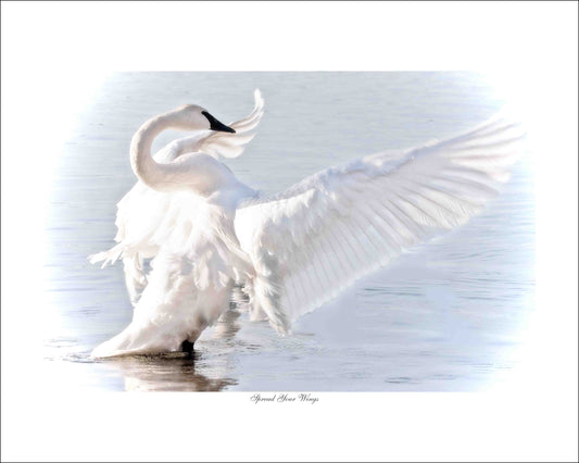 SPREAD YOUR WINGS - Southern Ontario