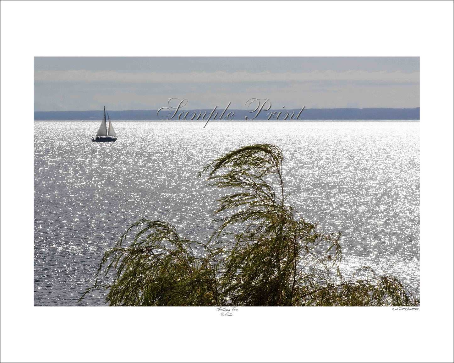 SAILING ON - Oakville
