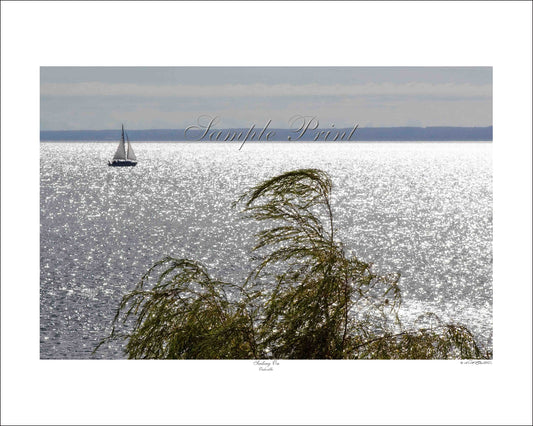 SAILING ON - Oakville