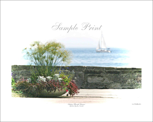 SAILING THROUGH SUMMER - Gairloch Gardens