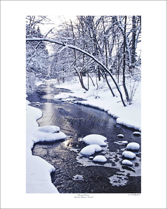 SNOWED OVER - Gairloch Gardens, Oakville