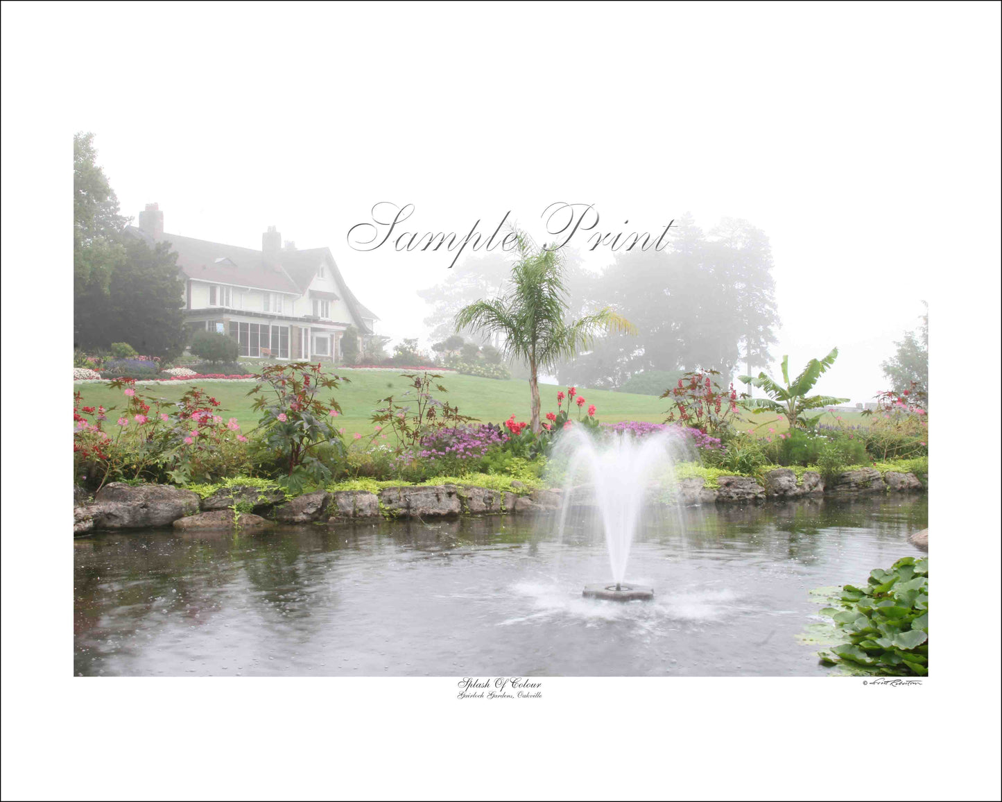 SPLASH OF COLOUR - Gairloch Gardens, Oakville