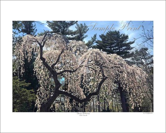 SPRING RETURNING - South Oakville