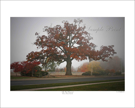 THE PAST PRESERVED - Bronte Road, Oakville