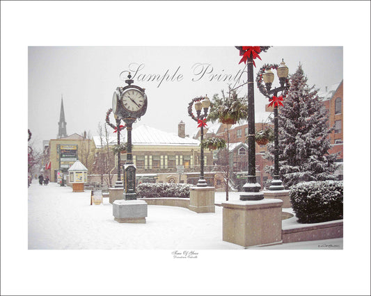 TIME OF YEAR - Downtown Oakville