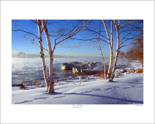 TRACES OF WINTER - Oakville Shoreline