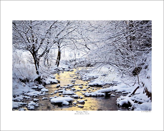 WARMING WINTER - Gairloch Gardens, Oakville