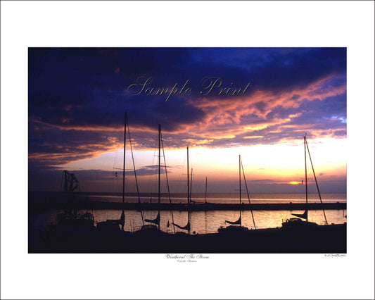 WEATHERED THE STORM - Oakville Harbour