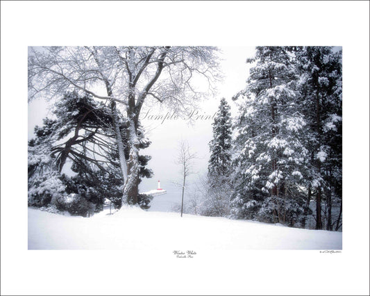 WINTER WHITE - Oakville Pier