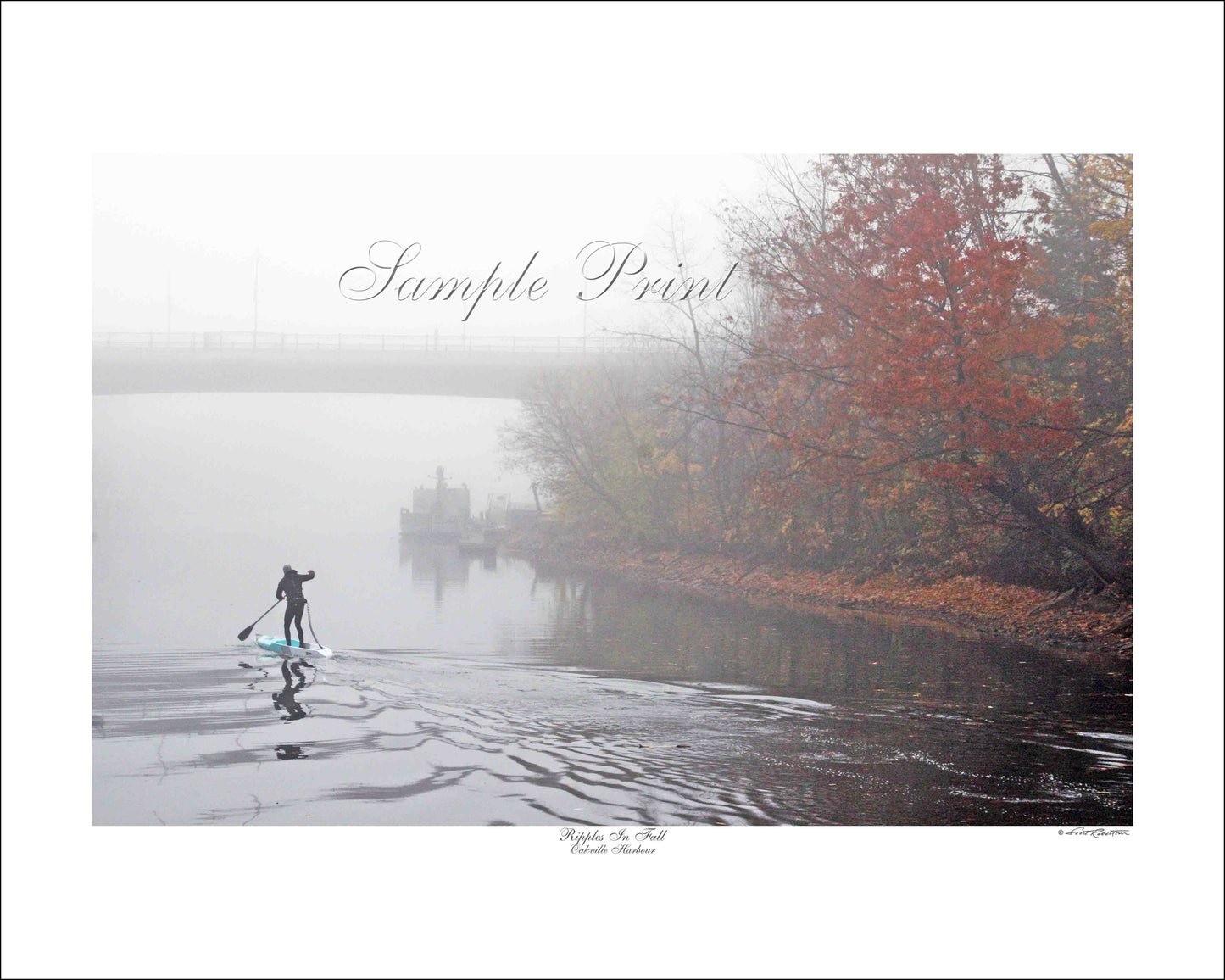 RIPPLES IN FALL - Oakville Harbour
